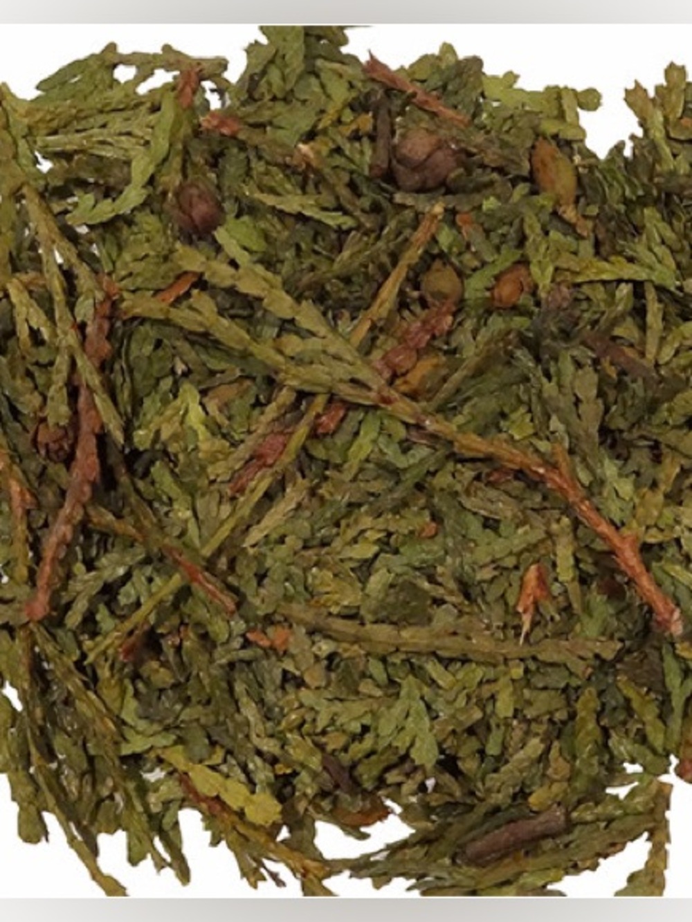FLAT CEDAR Favorite of Legendary Thunder Beings Sweet Aroma Ceremonial Prayer
